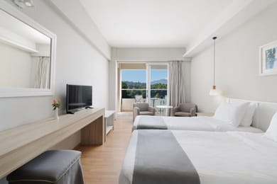 Double or Twin Room with Mountain View