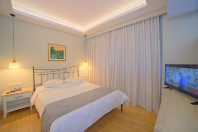 Single Room with Mountain View