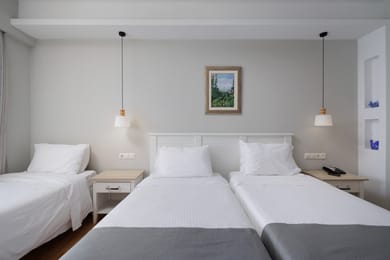 Triple Room with Mountain View