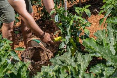 Elea Concept Hotel & Suites - Image 5