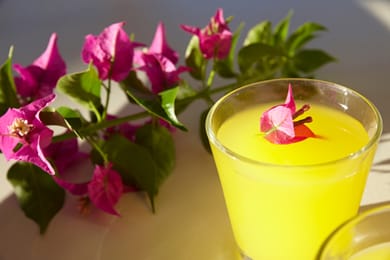 Elea Terra - Image 3