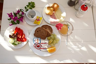 Elea Terra - Image 7