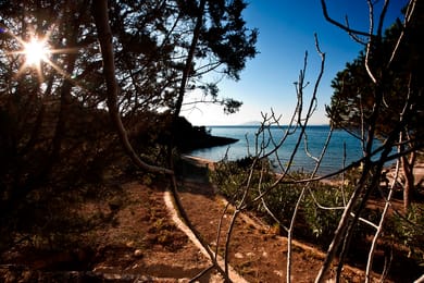 Electra Beachfront Villa - Image 6