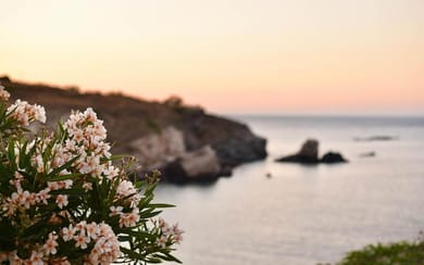 Elefthia Private Living