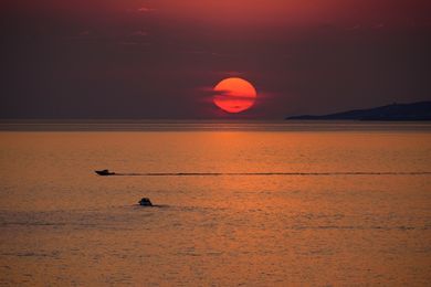 Elegant Villas & Suites Mykonos - Image 2