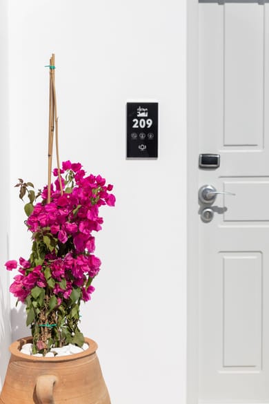 Elena Hotel Mykonos - Image 3