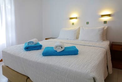 Double Studio with Garden View