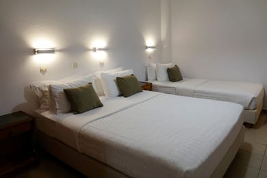 Triple Studio with Mountain View