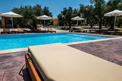 Eleon Olive Retreat - Image 2