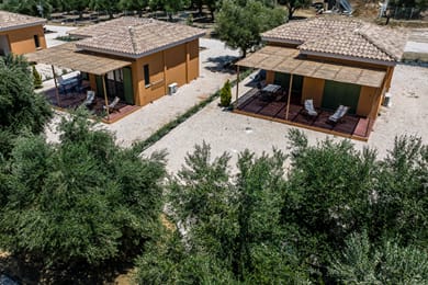 Eleon Olive Retreat - Image 6