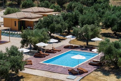 Eleon Olive Retreat - Image 7
