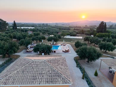 Eleon Olive Retreat - Image 4