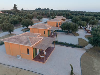 Eleon Olive Retreat - Image 6