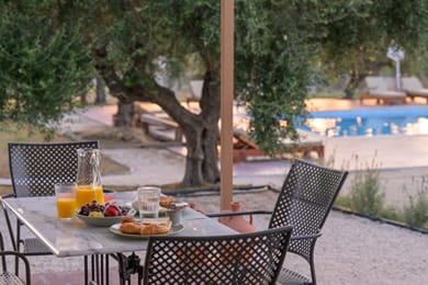 Eleon Olive Retreat - Image 5
