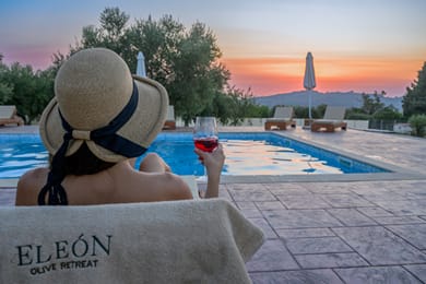 Eleon Olive Retreat - Image 2