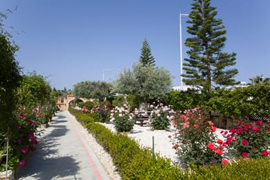 Eliofos Elegant Maisonettes - Image 2