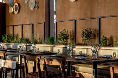 Elios Hill - Image 4