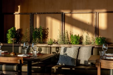 Elios Hill - Image 5