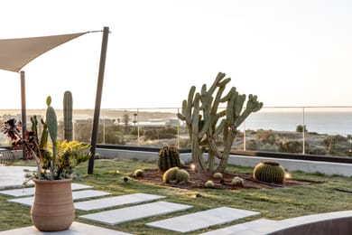 Elios Hill - Image 7