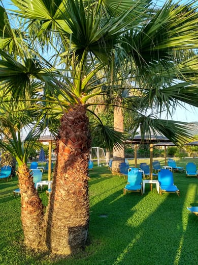 Elizabeth Apartments Corfu - Image 2