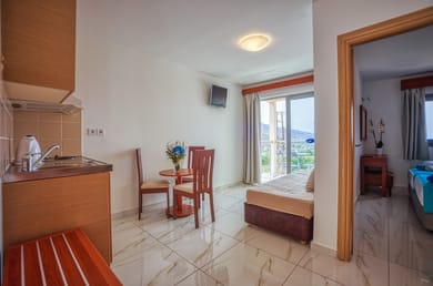 One Bedroom Apartment