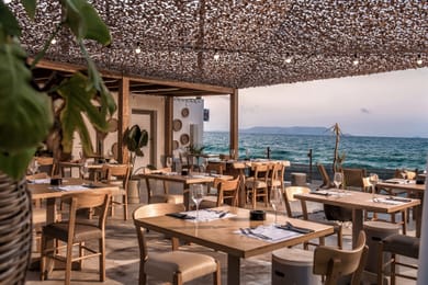 Enorme Maya Beach Hotel - Adults Only - Image 3
