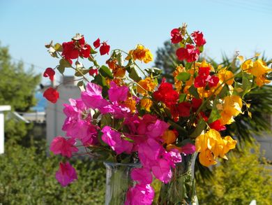 Eri Studios Aegina - Image 4