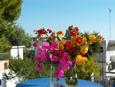 Eri Studios Aegina - Image 5