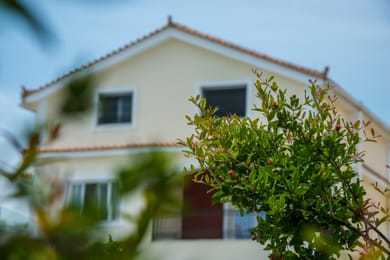 Erietta Aparthotel - Image 5