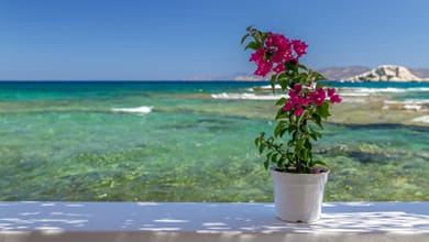 Esperanza Apartments - Image 4