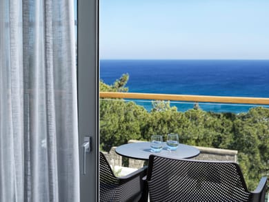 Exclusive Double Sea View Room Sharing Pool