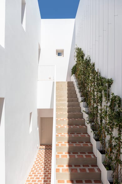 Ethos Vegan Suites - Image 6