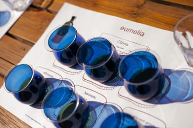 Eumelia Organic Agrotourism Farm - Image 2