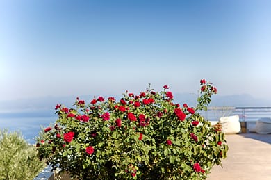 Euphoria Studios Mani - Image 2