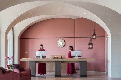 Euphoria Retreat - A Holistic Wellbeing Destination Spa - Image 6