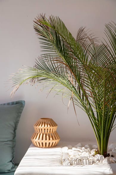 Euphoria Suites & Spa - Image 2