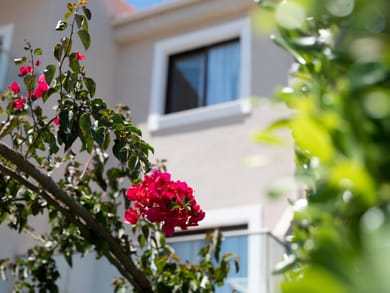 Eva Mare Hotel & Suites - Adults Only - Image 6