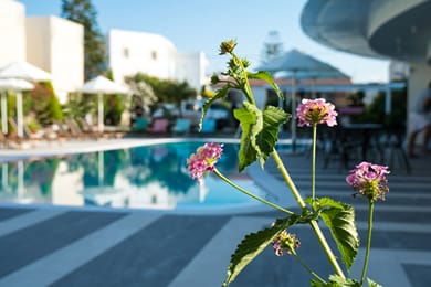 Evdokia Suites - Image 5