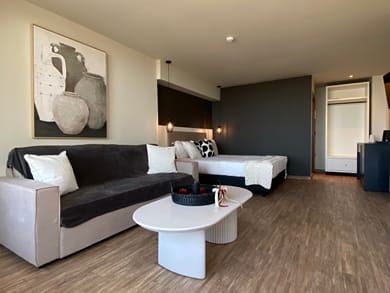 Superior Family Room with Terrace