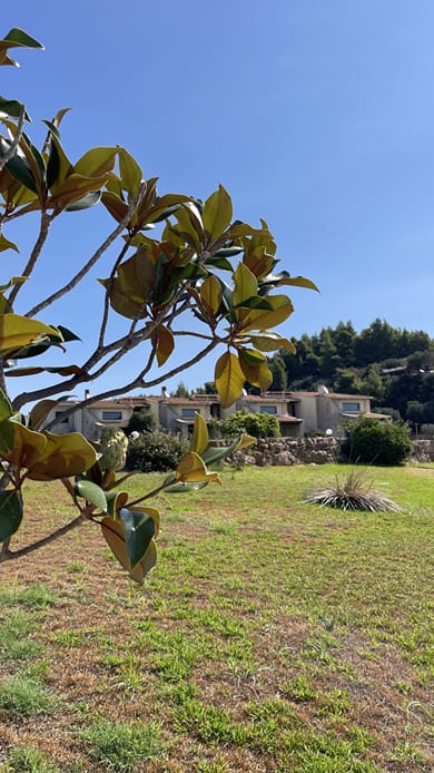 Evlogia Village by Greek Pride - Image 4