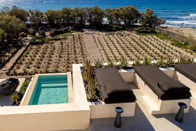 Exomitis1 Cellar & Sea Escape - Image 5