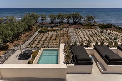 Exomitis1 Cellar & Sea Escape - Image 2