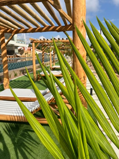 Exotic Sea Boutique - Image 4