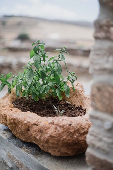 Falakis Apartments Kythnos - Image 6