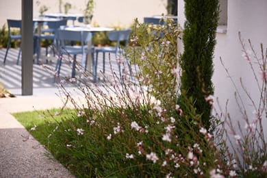 Falena Luxury Rooms - Image 5