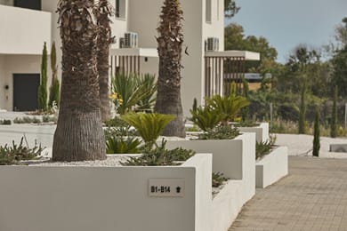 Casa Tsouka Seaside Aparthotel - Image 6