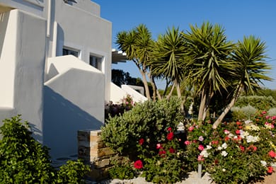 Faros Villa Small Hotel & Restaurant - Image 7