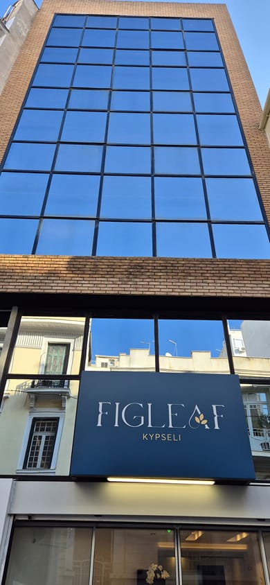 Figleaf Kypseli - Image 5