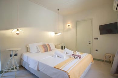 Superior Double with Patio