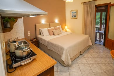 Economy Double Room with forest view